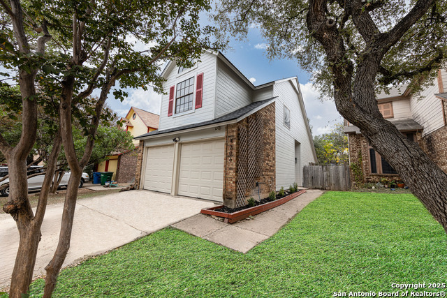 Image 5 of 39 For 4206 Birch Tree