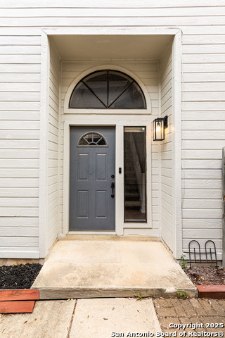 Image 6 of 39 For 4206 Birch Tree