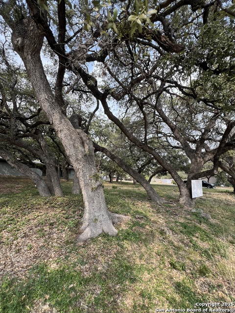 Image 6 of 7 For 11811 Orsinger Ln