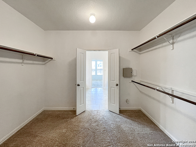 Image 19 of 36 For 22410 Akin Fawn