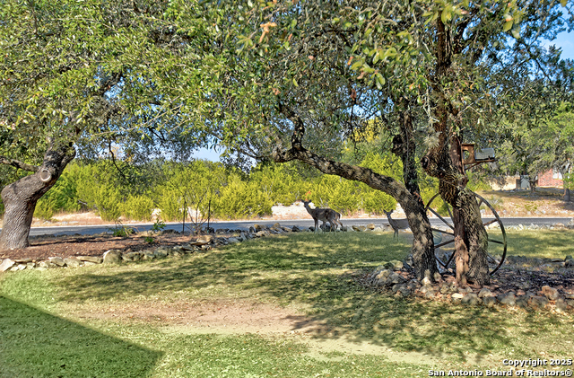 Image 3 of 30 For 518 Oracle  