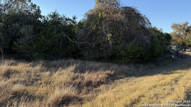 Details for 737 Long Meadow, Spring Branch, TX 78070