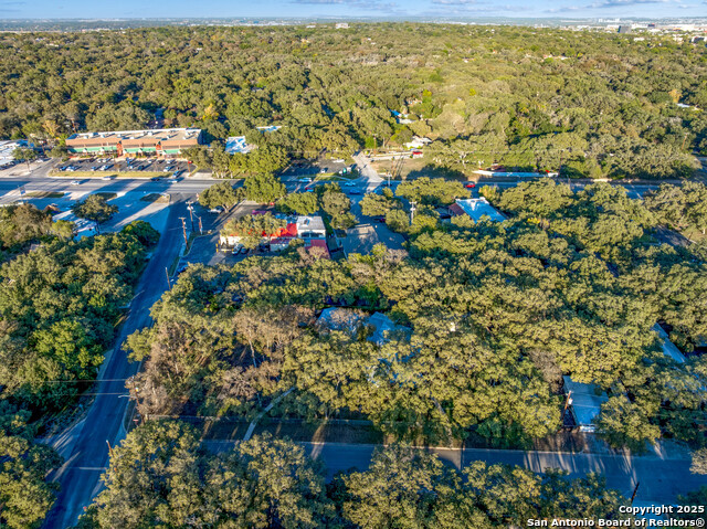 Image 20 of 20 For 102 Zornia