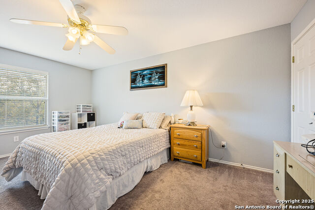 Image 20 of 28 For 8306 Piney Wood Run