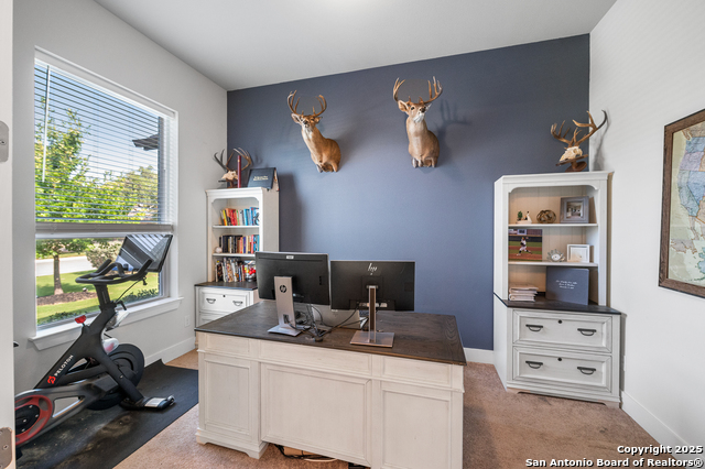 Listing photo id 12 for 239 Lawrence