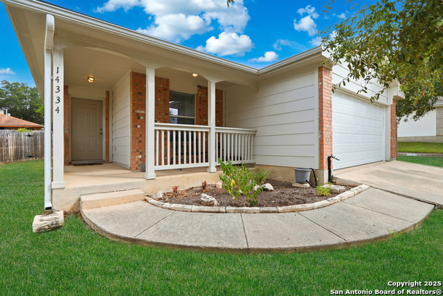 Image 11 of 49 For 14334 Dusky Thrush