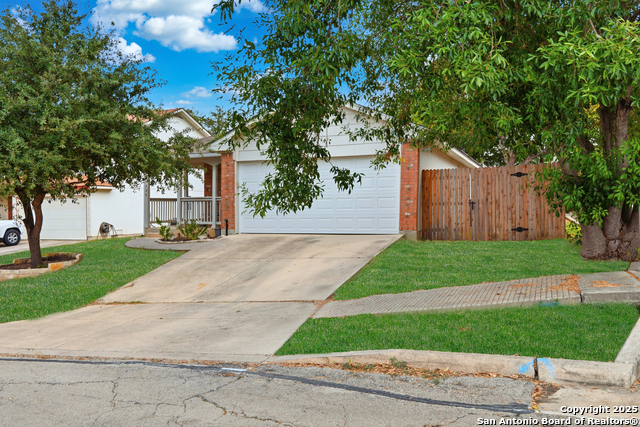 Image 2 of 49 For 14334 Dusky Thrush