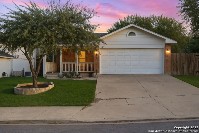 Image 3 of 49 For 14334 Dusky Thrush