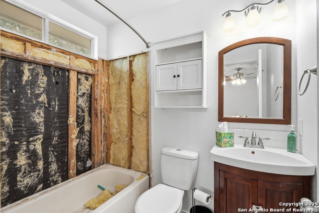 Image 30 of 49 For 14334 Dusky Thrush