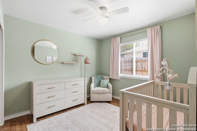 Image 34 of 49 For 14334 Dusky Thrush