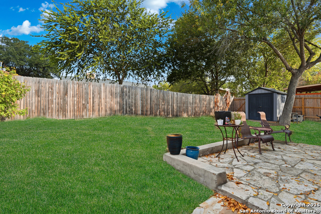 Image 38 of 49 For 14334 Dusky Thrush