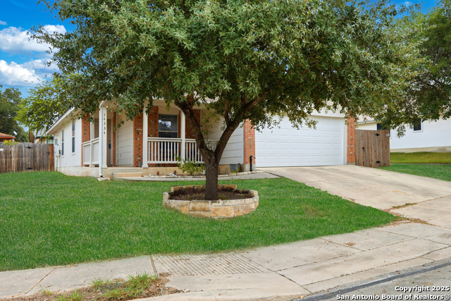 Image 4 of 49 For 14334 Dusky Thrush