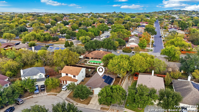 Image 44 of 49 For 14334 Dusky Thrush