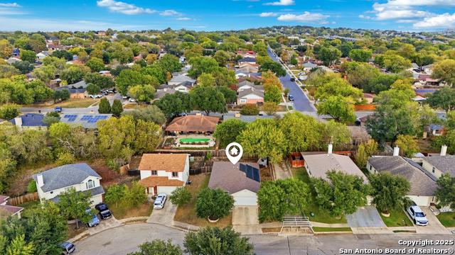 Image 45 of 49 For 14334 Dusky Thrush
