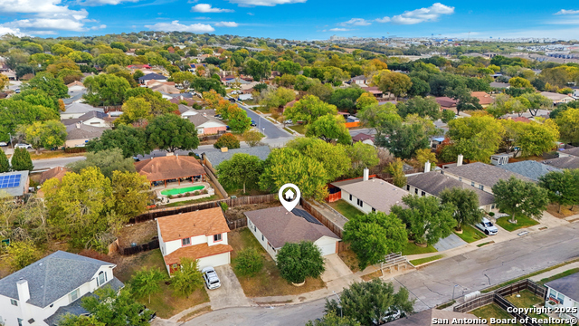 Image 46 of 49 For 14334 Dusky Thrush