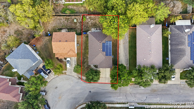 Image 47 of 49 For 14334 Dusky Thrush