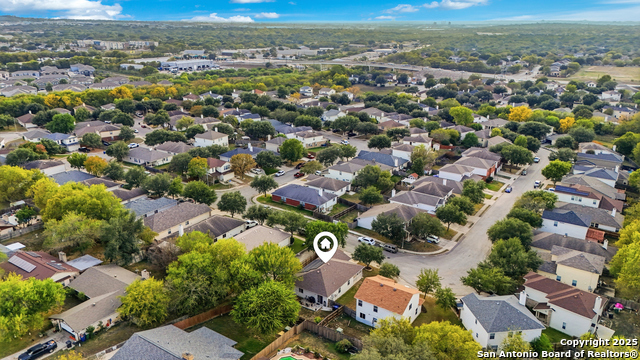 Image 48 of 49 For 14334 Dusky Thrush