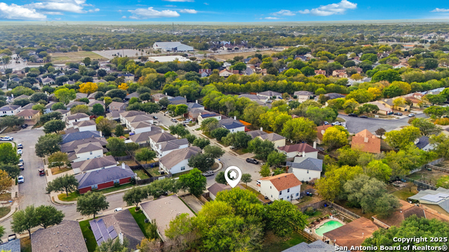 Image 49 of 49 For 14334 Dusky Thrush