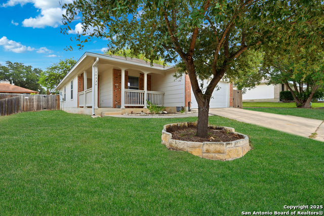Image 5 of 49 For 14334 Dusky Thrush