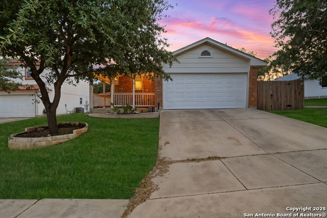 Image 6 of 49 For 14334 Dusky Thrush