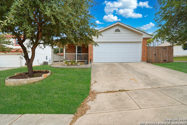 Image 7 of 49 For 14334 Dusky Thrush