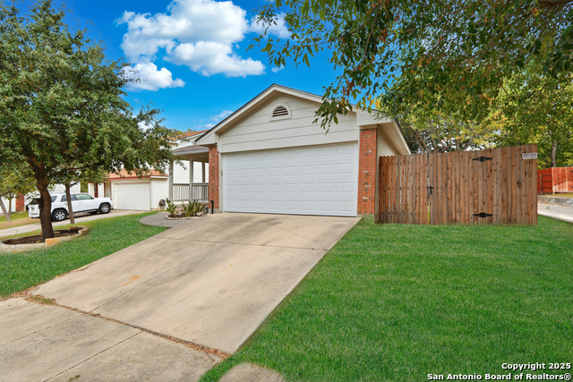 Image 8 of 49 For 14334 Dusky Thrush