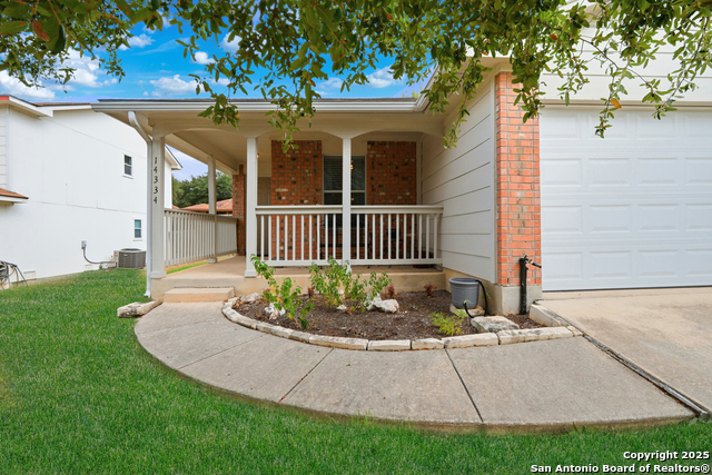 Image 9 of 49 For 14334 Dusky Thrush