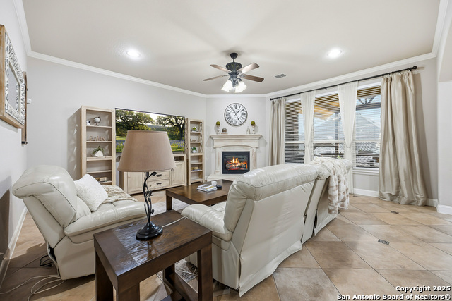 Image 13 of 56 For 25706 Coreopsis