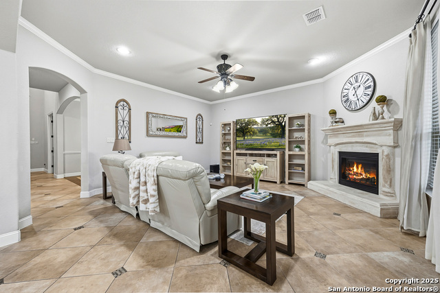 Image 14 of 56 For 25706 Coreopsis