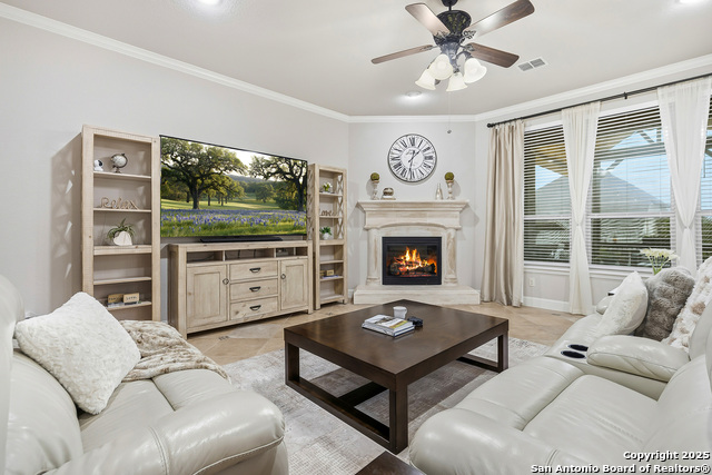 Image 15 of 56 For 25706 Coreopsis