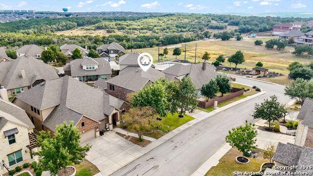 Image 16 of 56 For 25706 Coreopsis