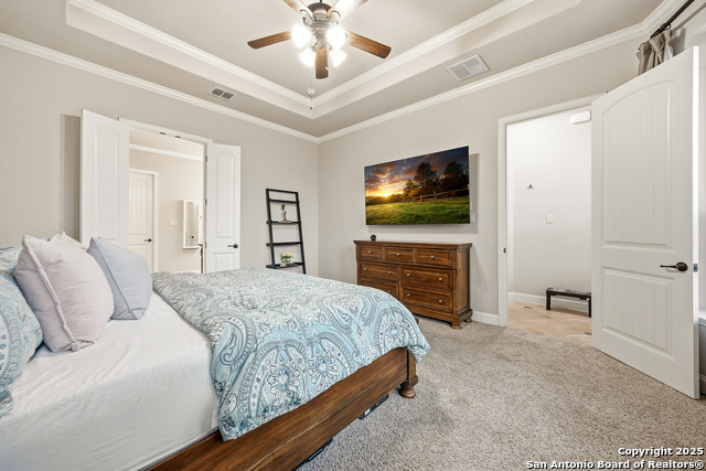 Image 24 of 56 For 25706 Coreopsis