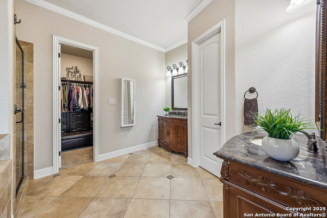 Image 25 of 56 For 25706 Coreopsis