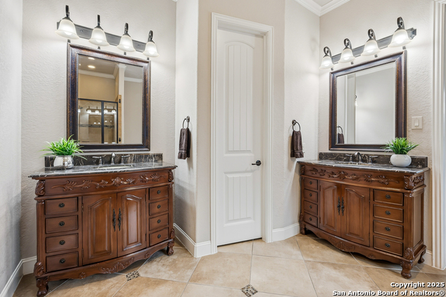 Image 26 of 56 For 25706 Coreopsis