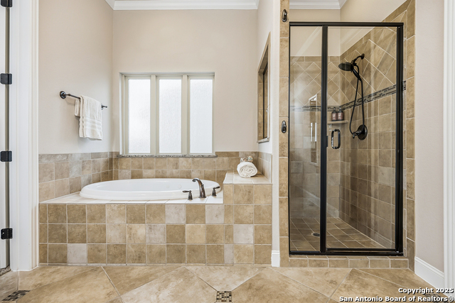 Image 27 of 56 For 25706 Coreopsis