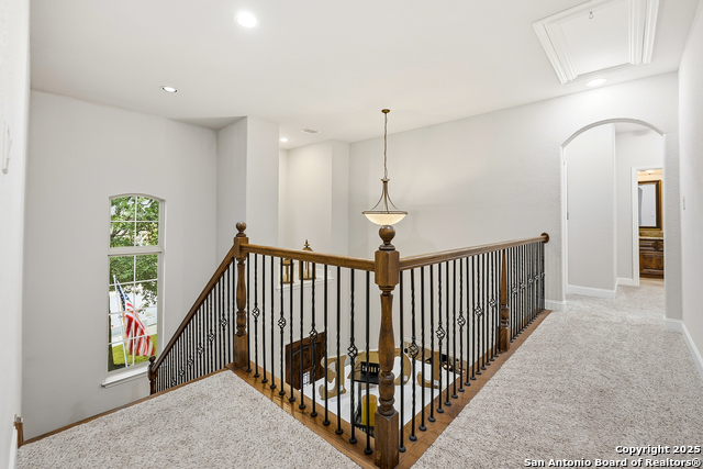 Image 28 of 56 For 25706 Coreopsis