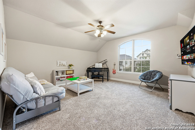 Image 29 of 56 For 25706 Coreopsis