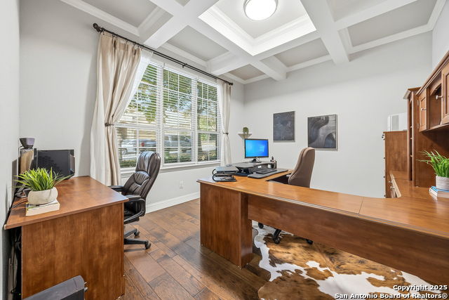 Image 3 of 56 For 25706 Coreopsis