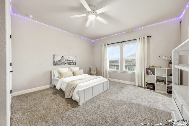 Image 30 of 56 For 25706 Coreopsis