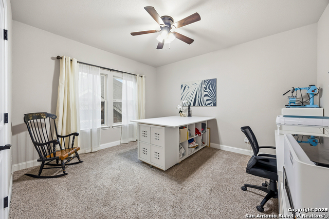 Image 32 of 56 For 25706 Coreopsis