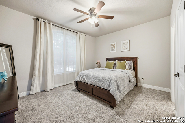 Image 33 of 56 For 25706 Coreopsis