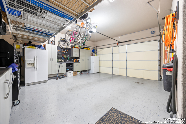 Image 36 of 56 For 25706 Coreopsis