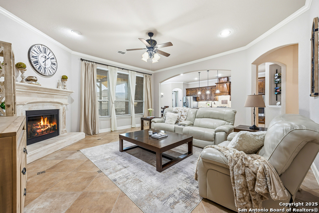 Image 4 of 56 For 25706 Coreopsis