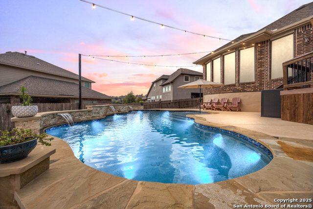 Image 42 of 56 For 25706 Coreopsis