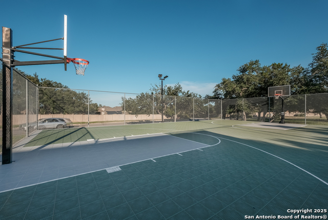 Image 50 of 56 For 25706 Coreopsis