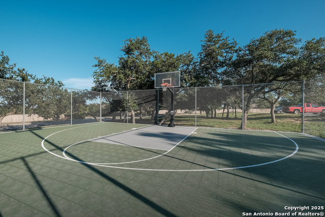 Image 51 of 56 For 25706 Coreopsis