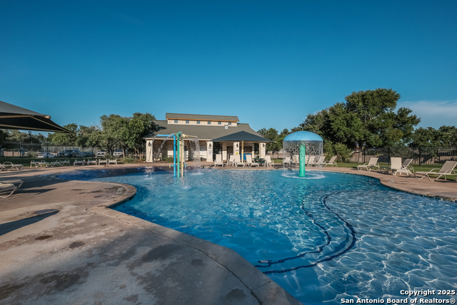 Image 56 of 56 For 25706 Coreopsis