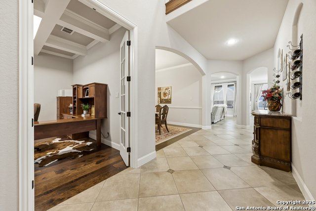 Image 6 of 56 For 25706 Coreopsis