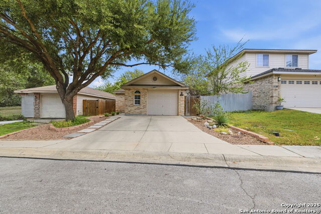 Image 8 of 46 For 6 Drought Cross