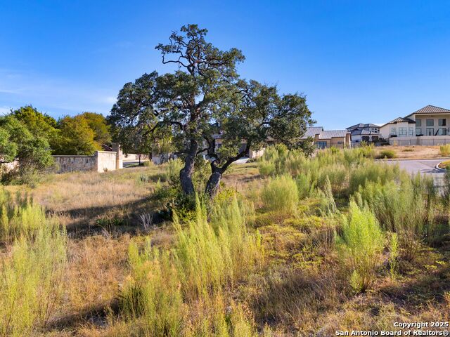 Image 14 of 15 For 11 Dominion Meadows